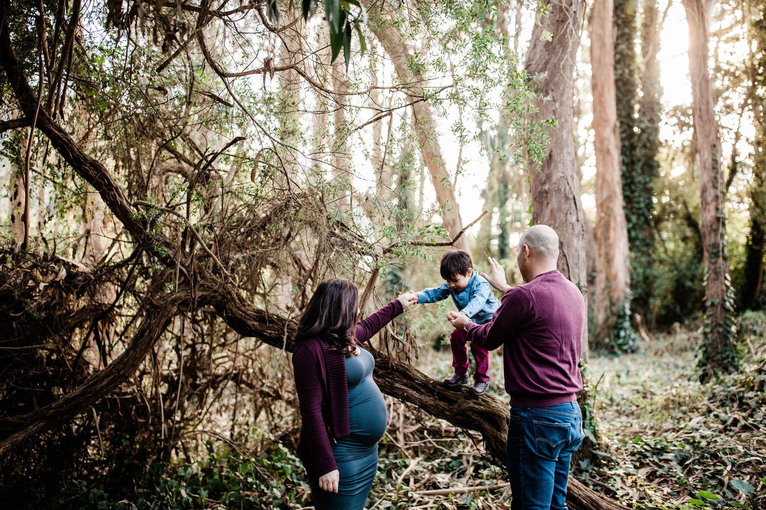 Family sharing a moment among tall trees — outdoor maternity session in Marin County