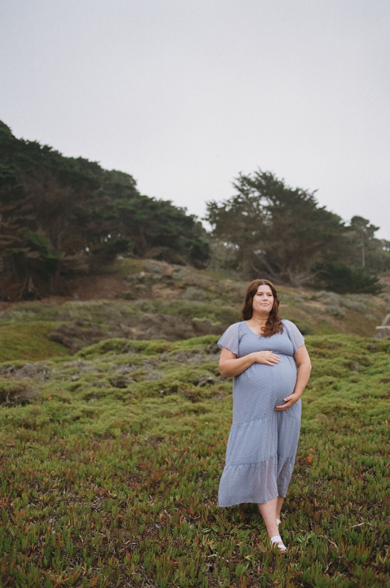 Pregnant woman in blue dress gazes thoughtfully across misty hillside dotted with wildflowers and windswept trees