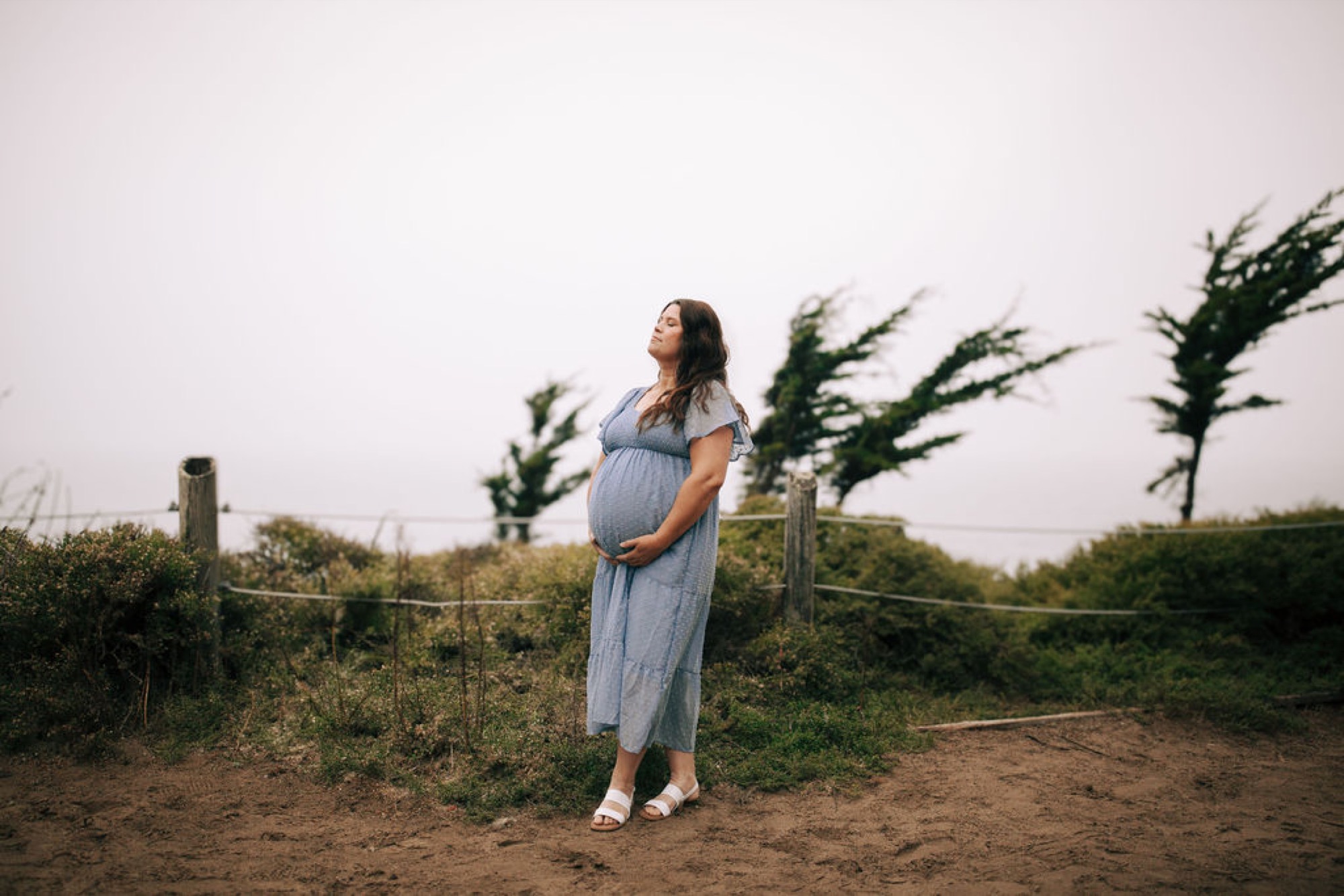 Pregnant woman in light blue dress gazes thoughtfully toward horizon while windswept coastal grasses blur dynamically behind her