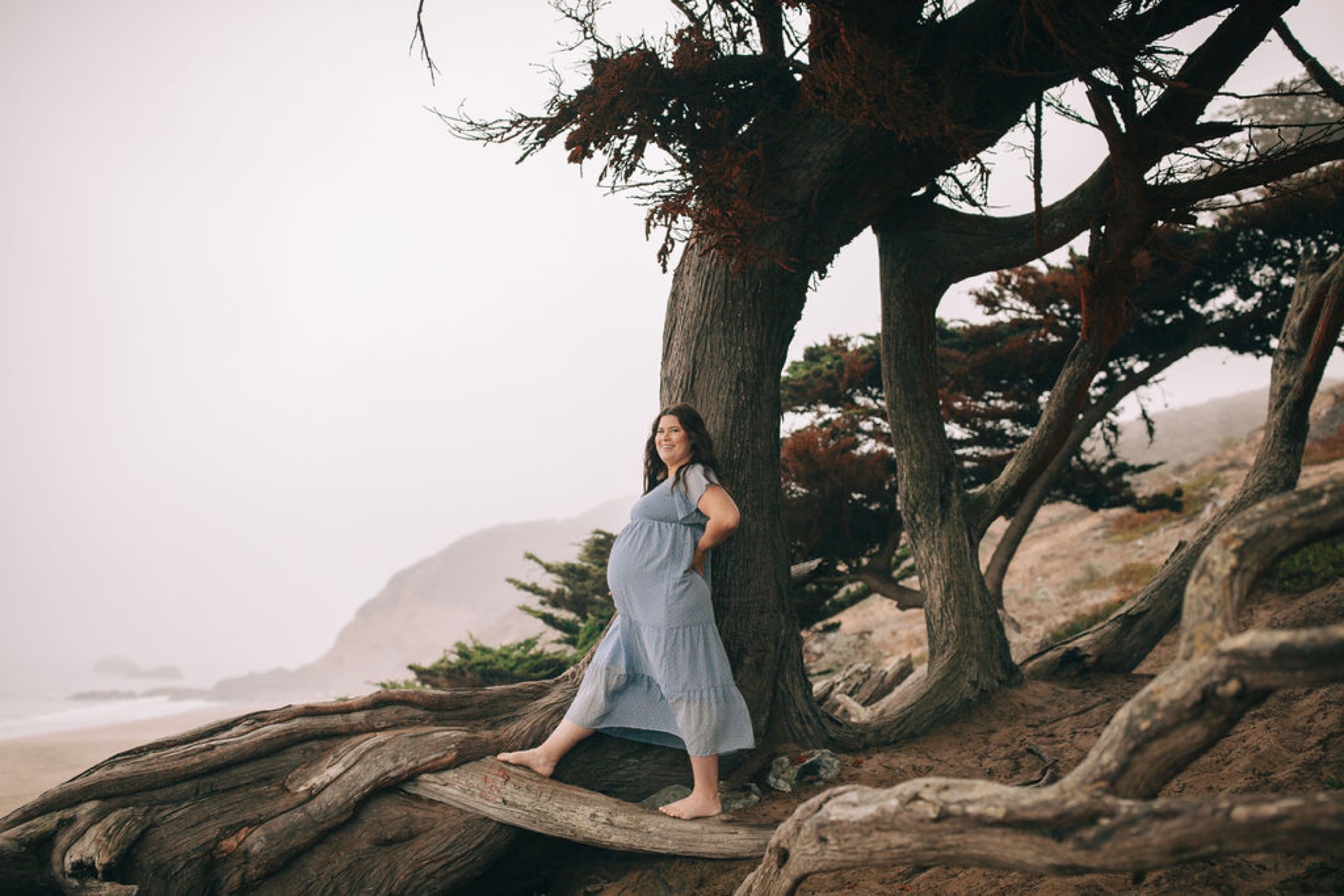 Expectant mother in pale blue dress stands barefoot on gnarled tree roots, gazing toward misty coastline with weathered cypress trees framing the scene