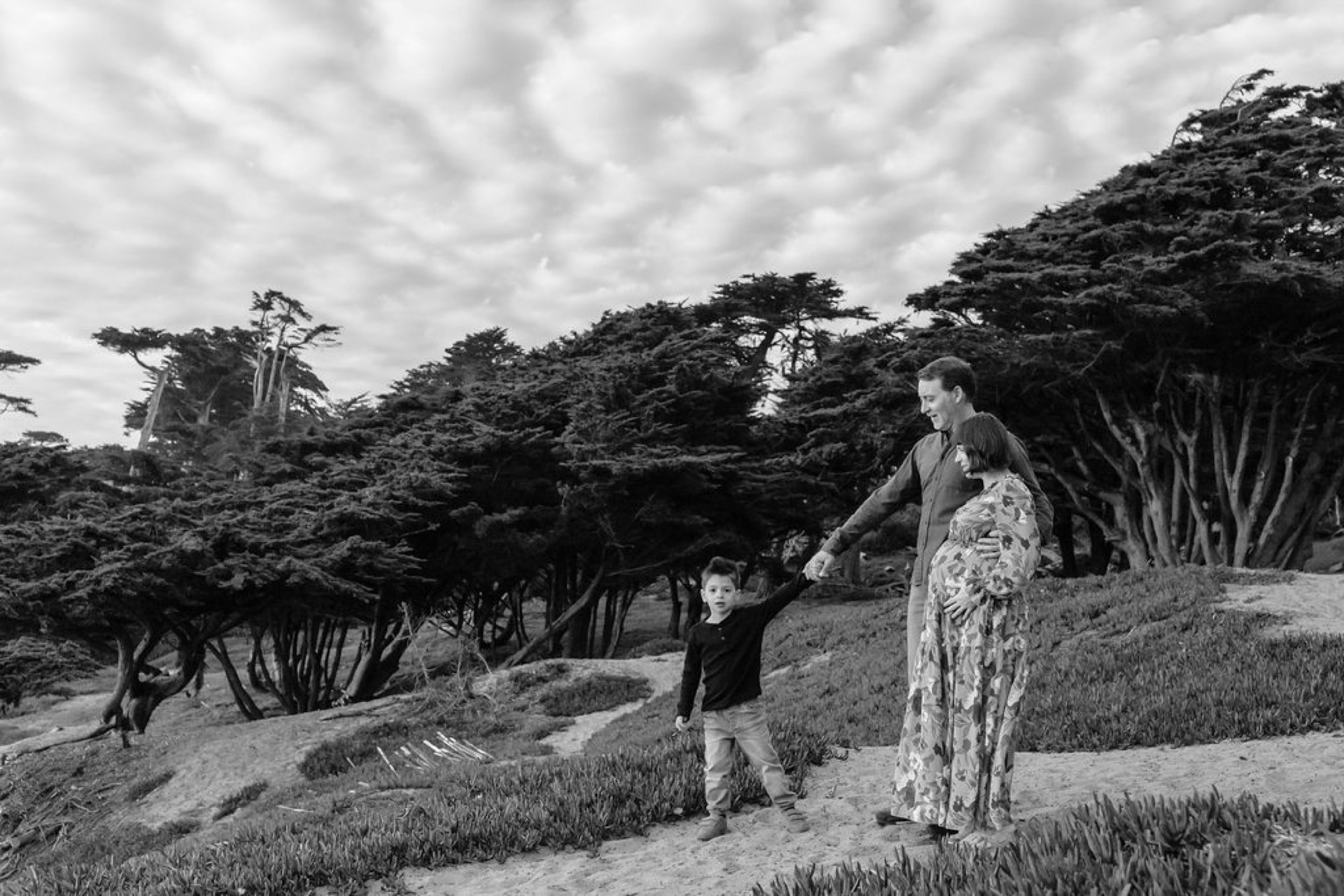Pregnant woman in a patterned dress reaches toward a young child on a grassy hillside beneath sprawling coastal trees