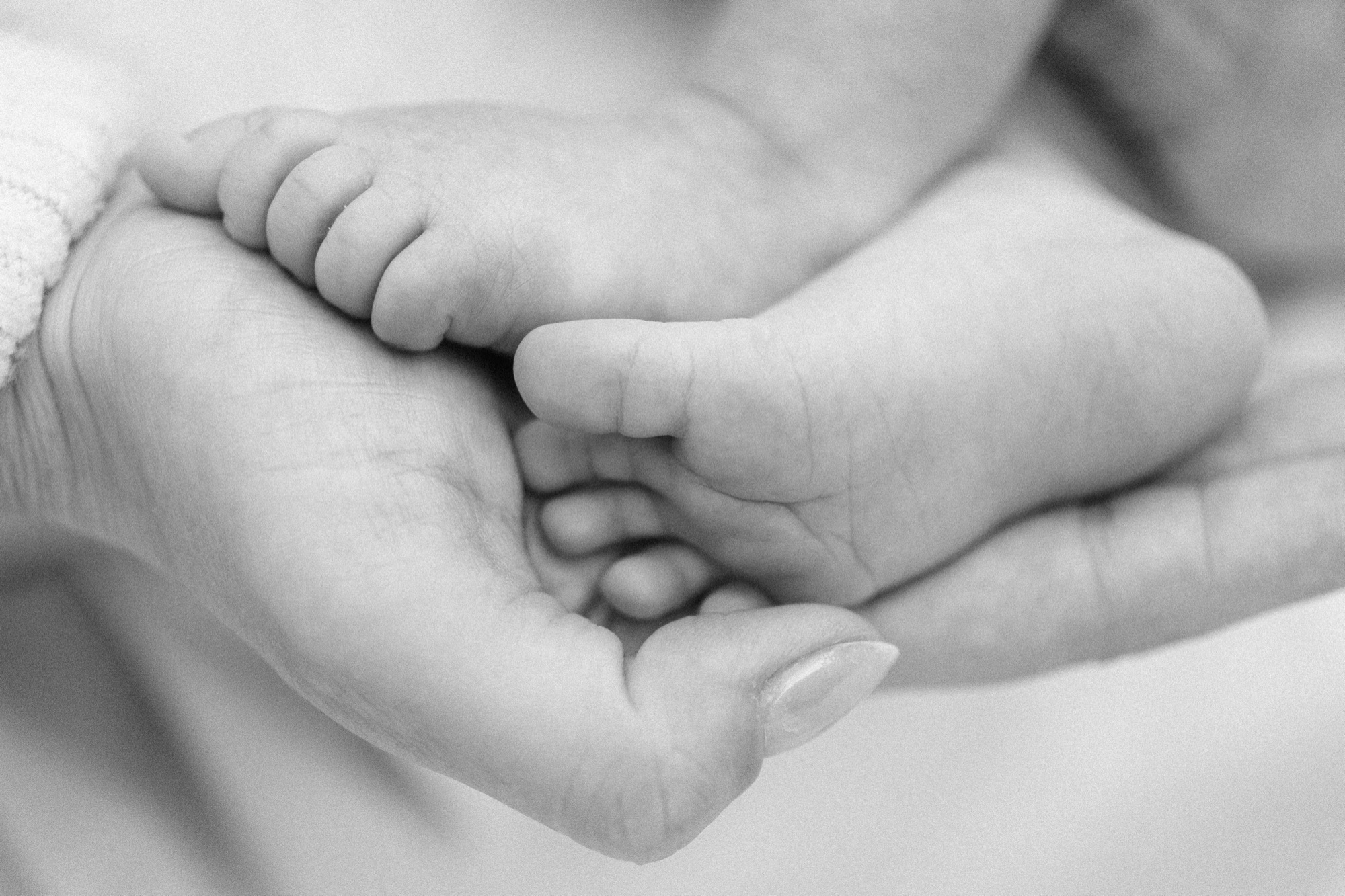 Those impossibly tiny feet nestled in a parent's cupped hand say everything about the wonder of new life — a quiet, tender moment captured in the soft natural light of this family's Marin County home.