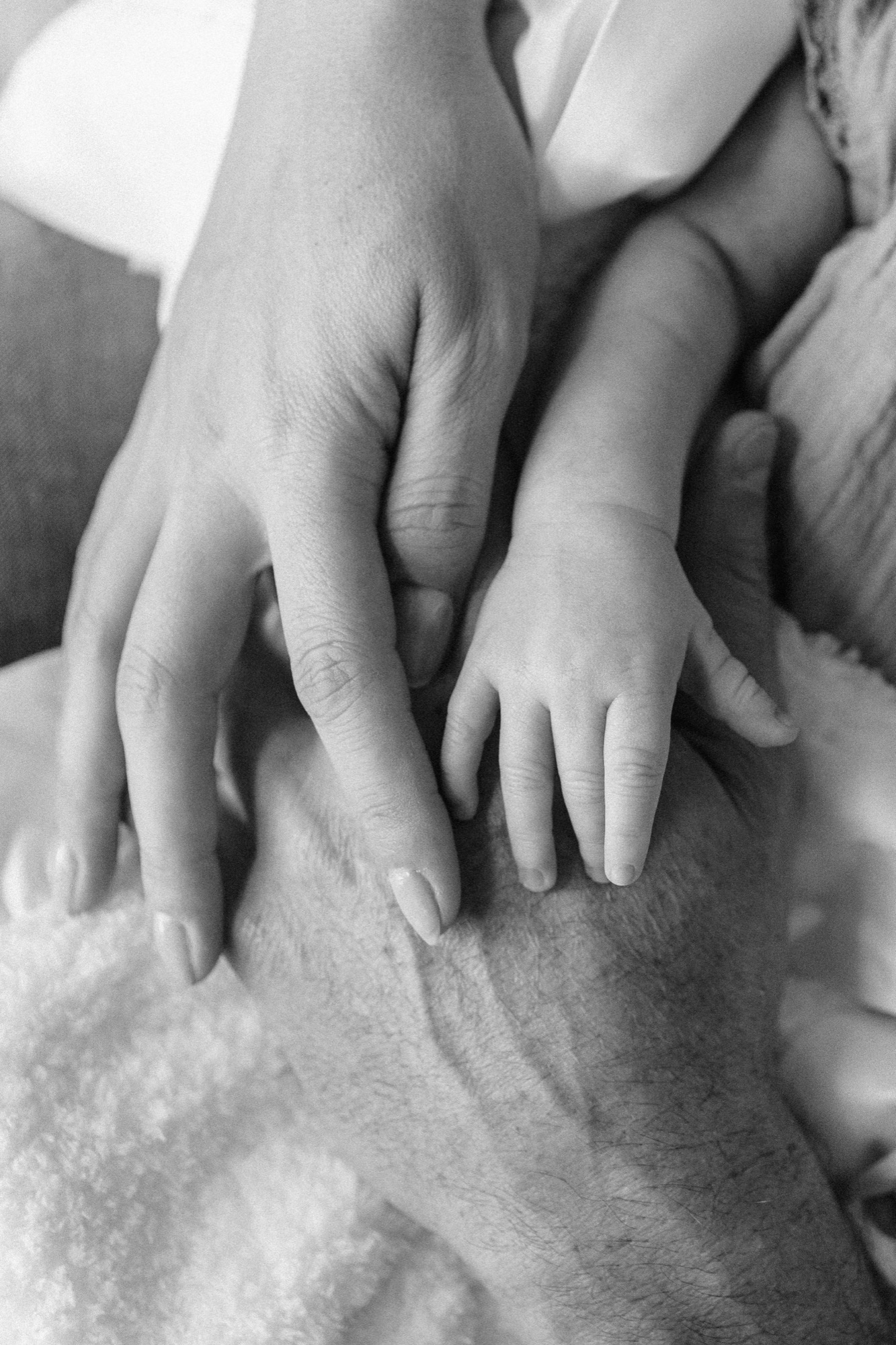 A newborn's tiny fingers splayed open between her parents' hands
