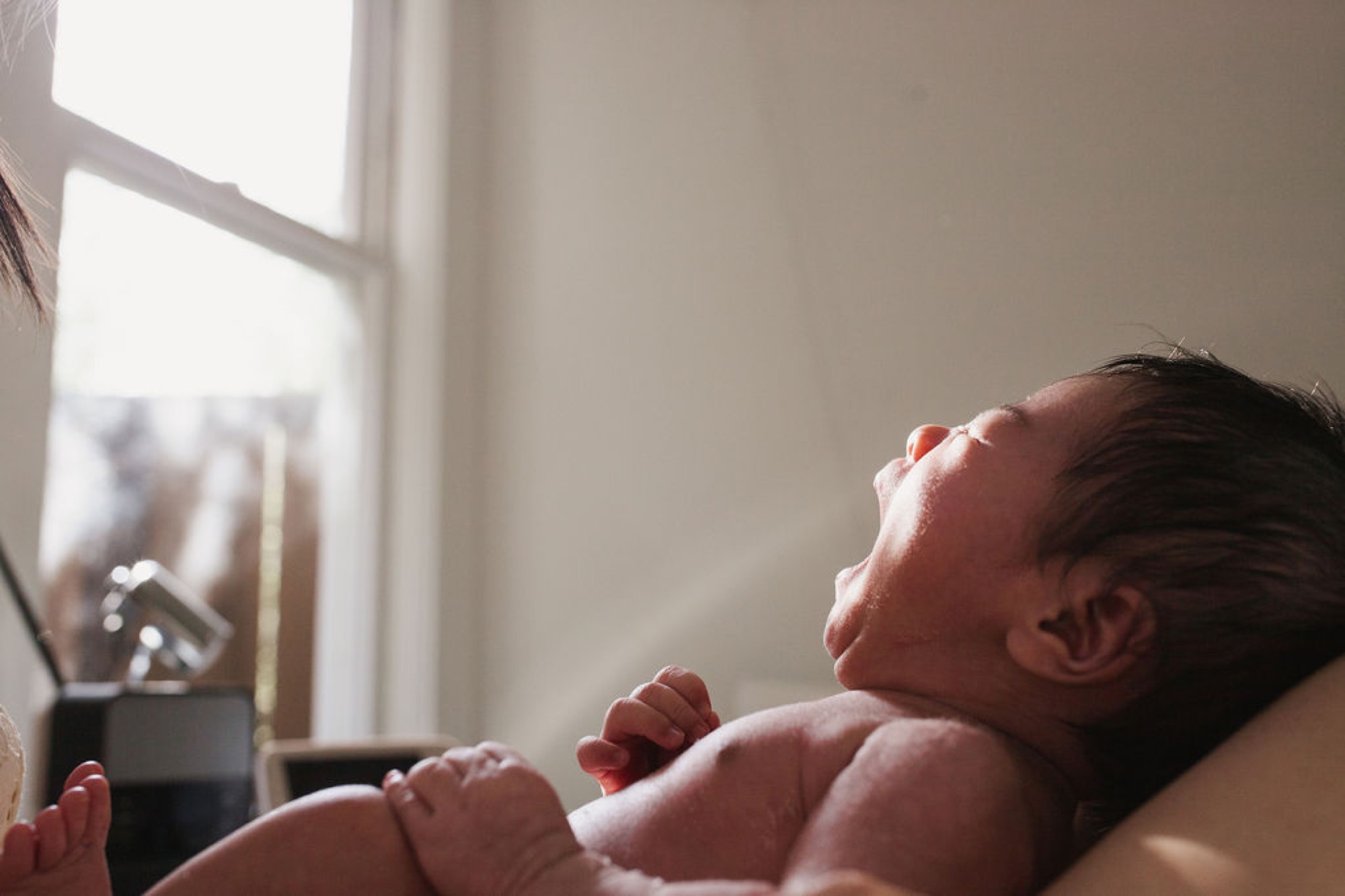 Newborn gazes upward in golden window light, tiny fists clenched, skin luminous against soft neutral tones