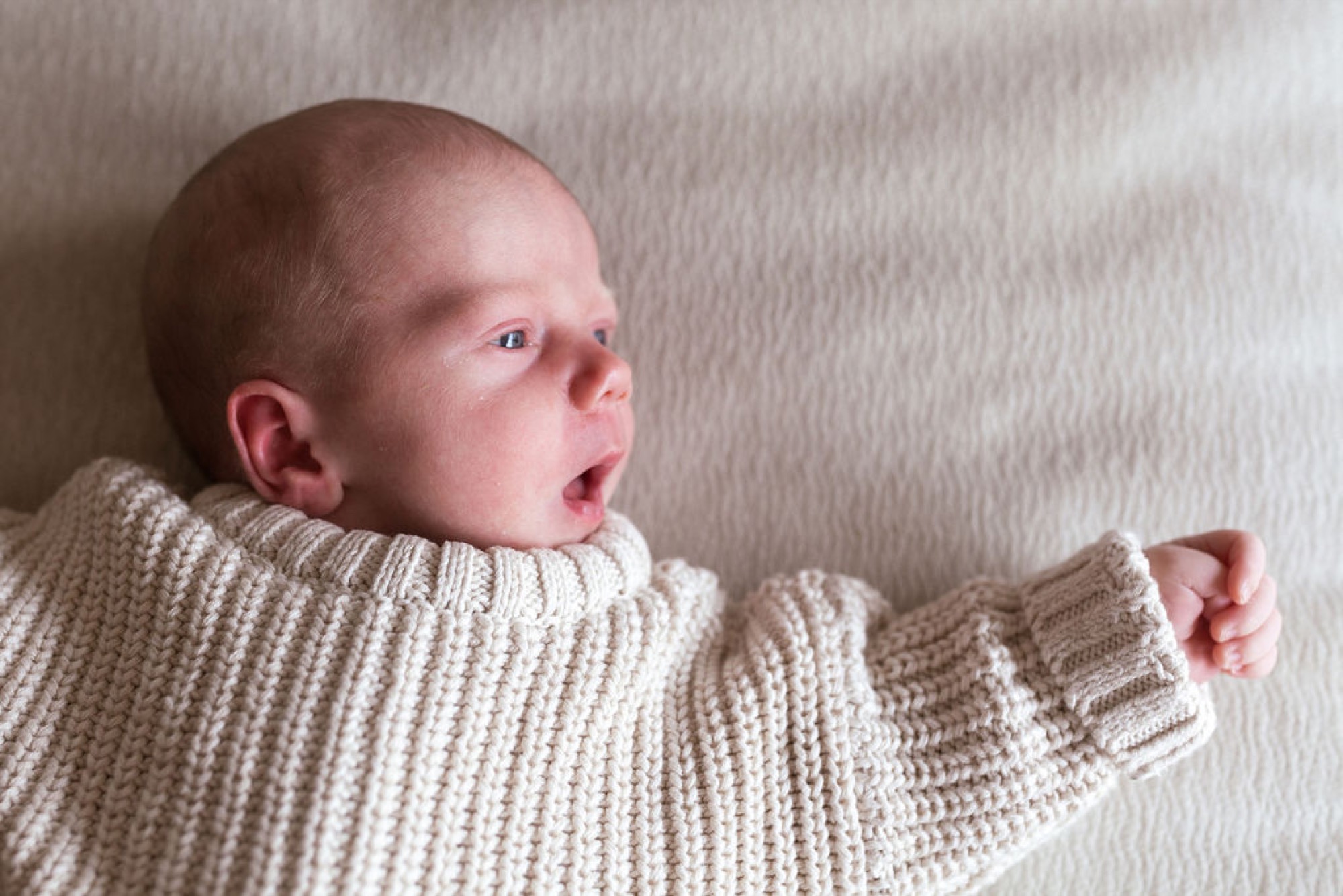 Newborn in cream cable-knit sweater yawns with mouth wide open, head tilted back against neutral textured wall