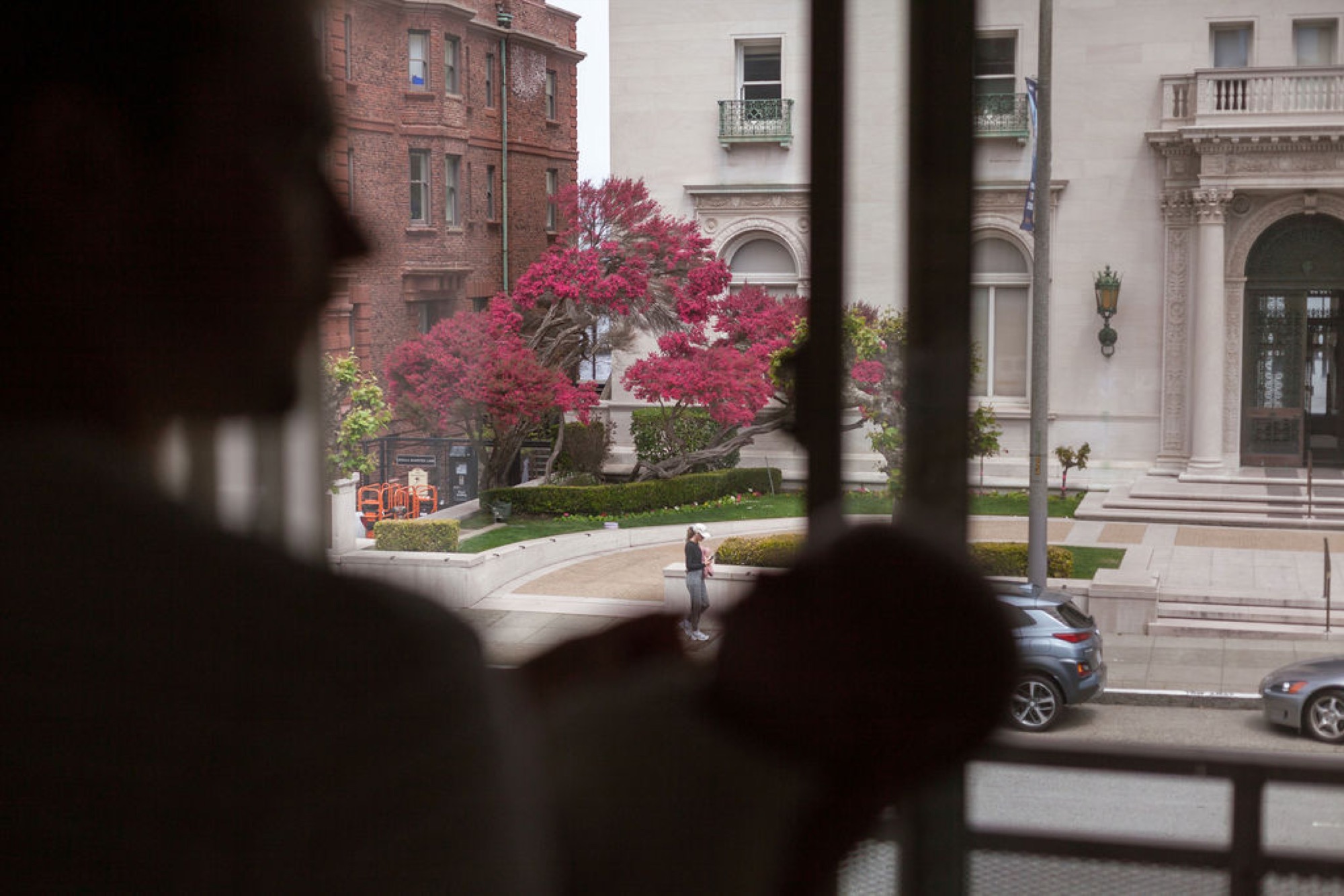 Urban courtyard view framed through interior railings, vibrant magenta tree anchoring neoclassical architecture and manicured grounds