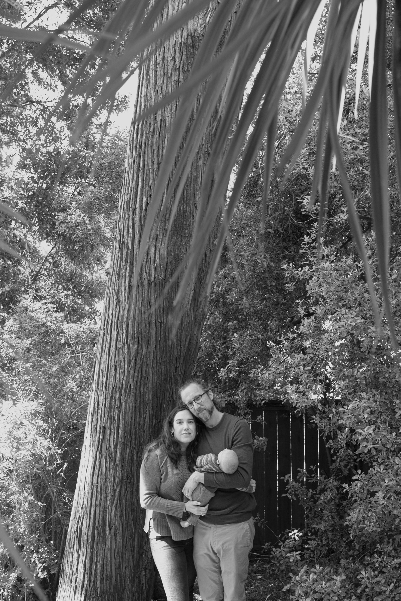 Parents embrace their newborn beneath a towering redwood, soft filtered light illuminating their tender expressions of joy and connection