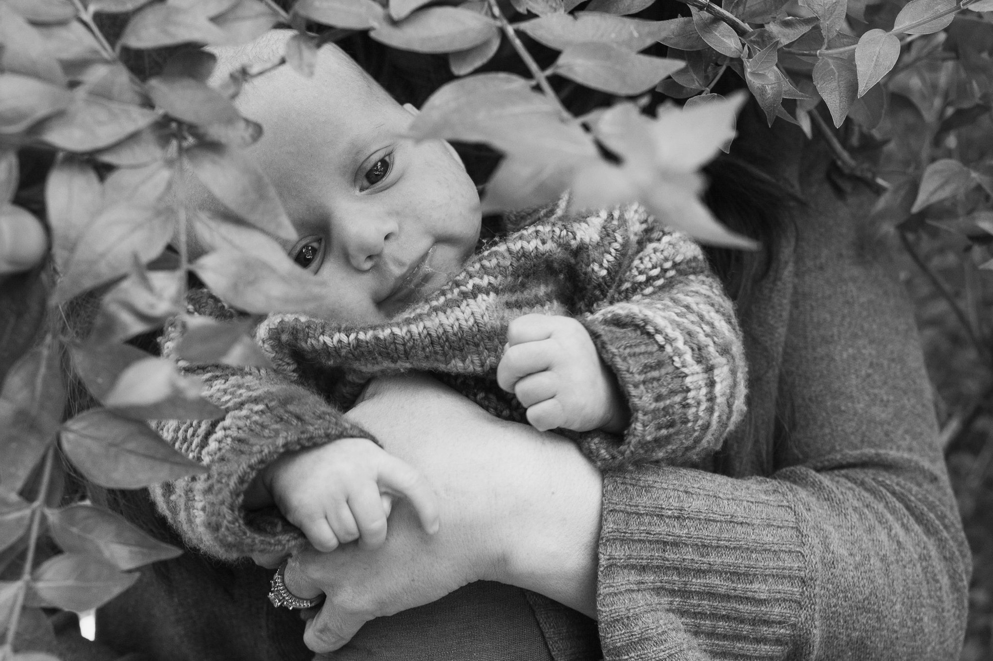 Infant gazes upward nestled against parent's chest, surrounded by soft foliage in warm outdoor light
