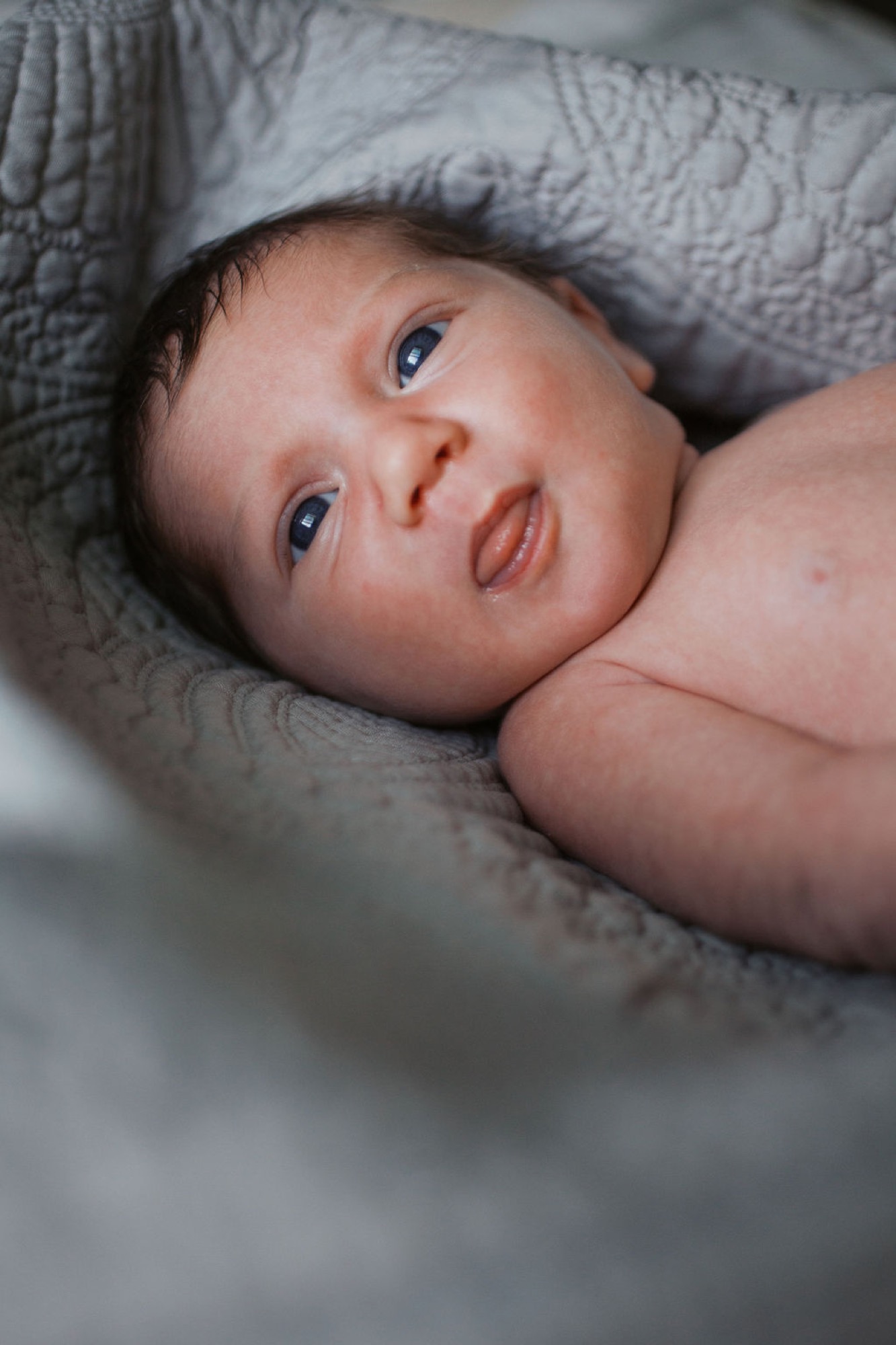Newborn gazes upward with wide alert eyes while cradled in gray knit fabric, soft natural light illuminating delicate facial features