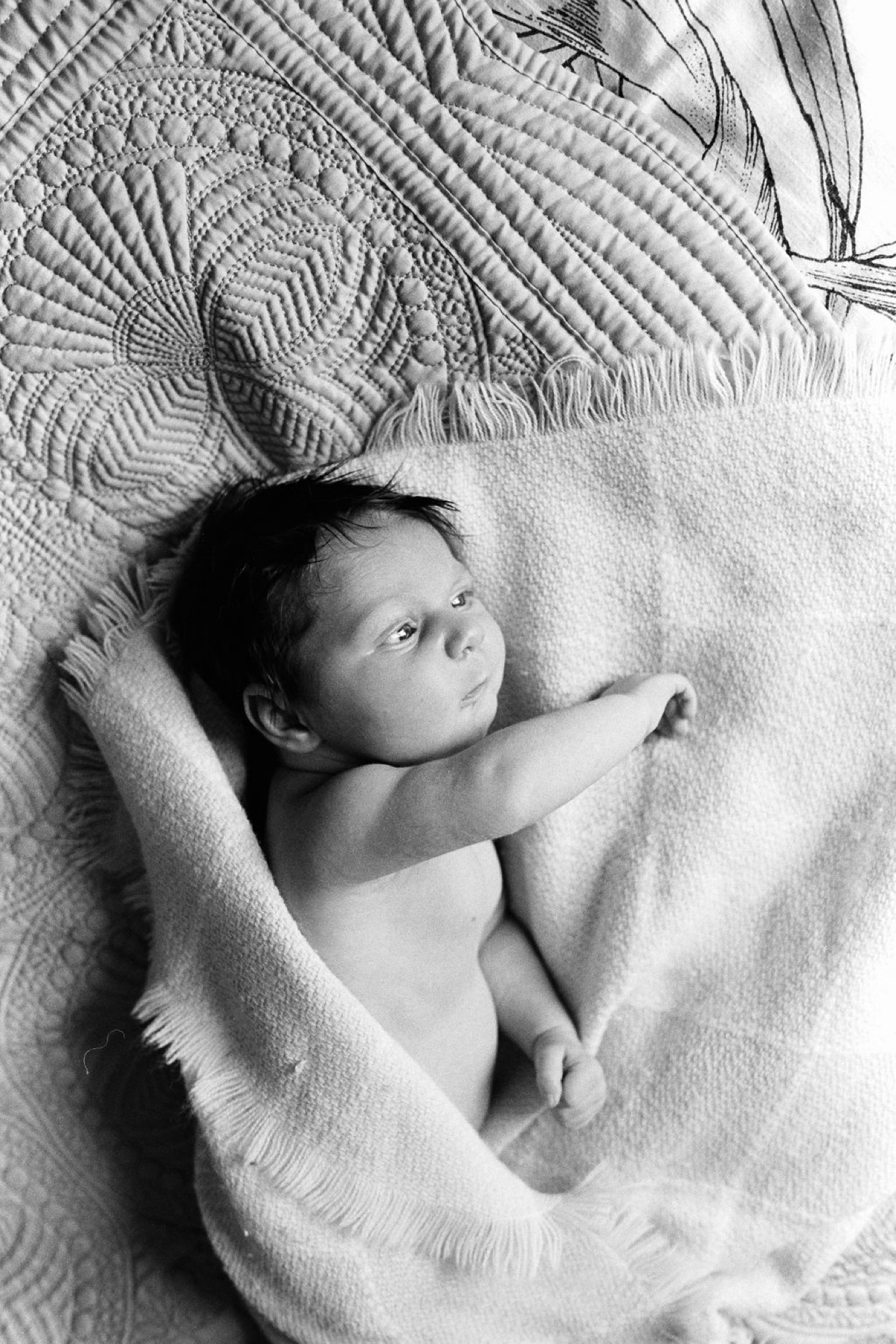 Newborn boy gazes upward while swaddled in soft white textured blankets, overhead perspective capturing serene repose and delicate features