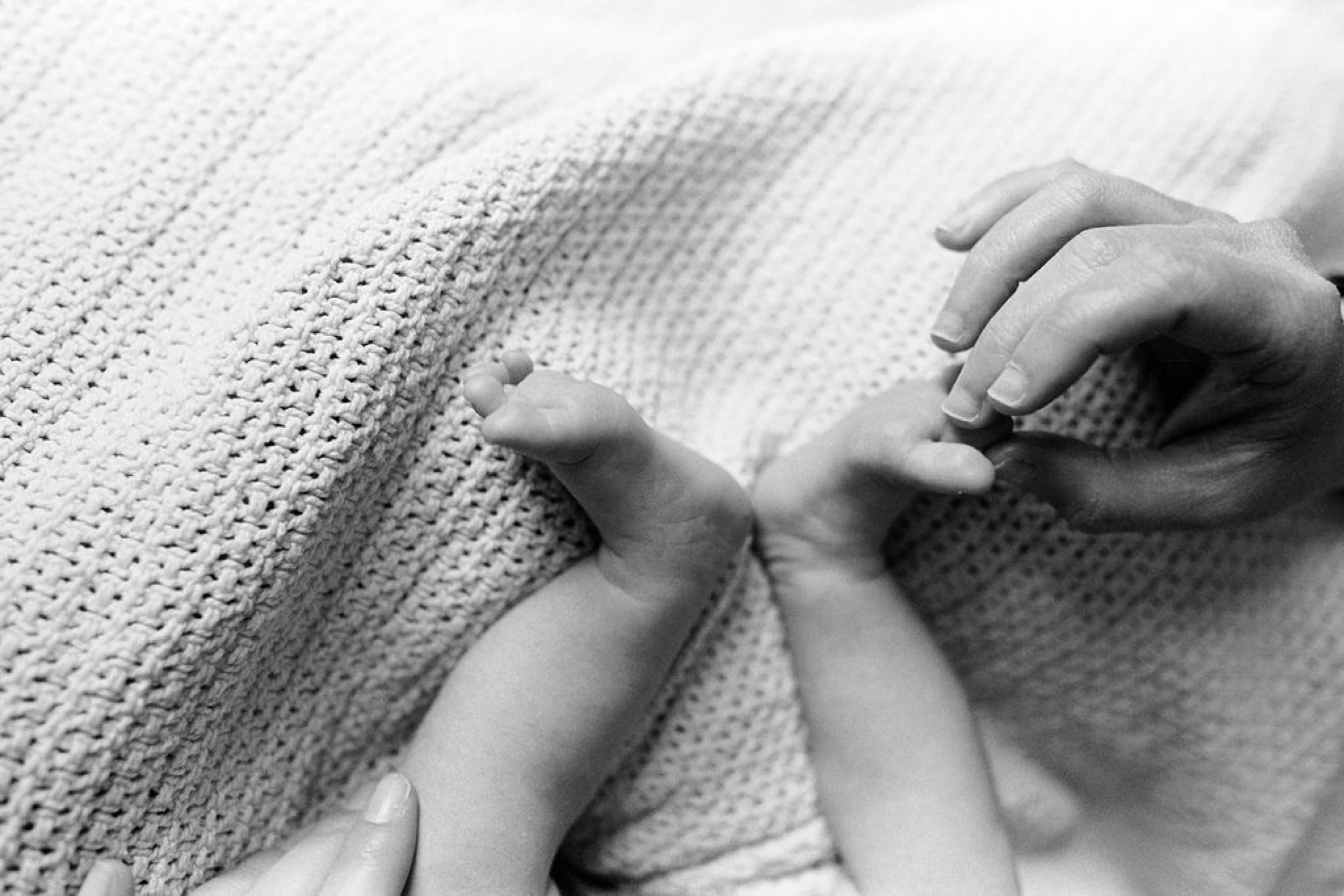 Tiny newborn hands rest gently on a textured knit blanket, delicate fingers curled in peaceful sleep against soft fabric