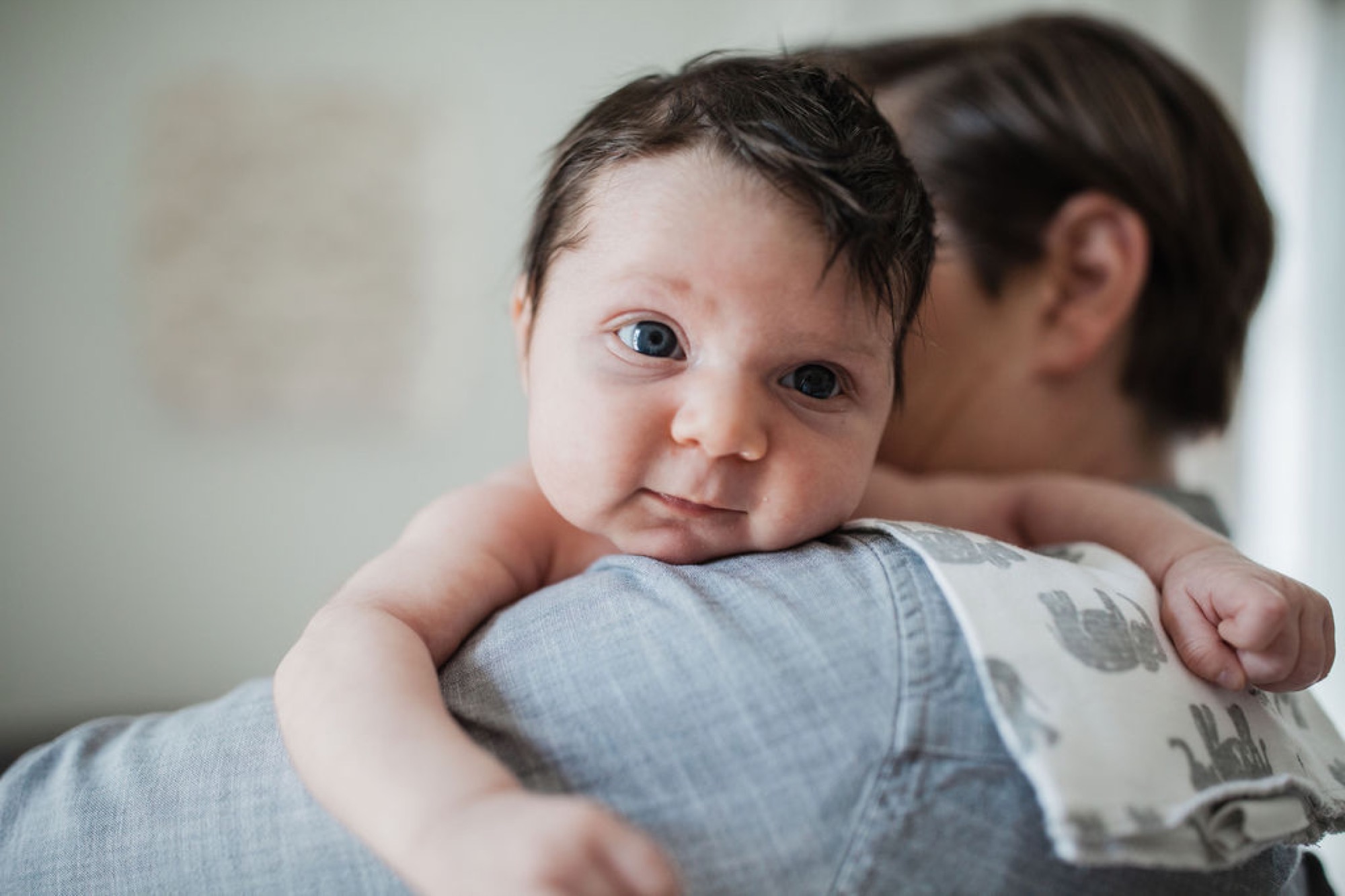 Newborn with alert blue eyes gazes at camera while cradled against parent's shoulder in soft natural light