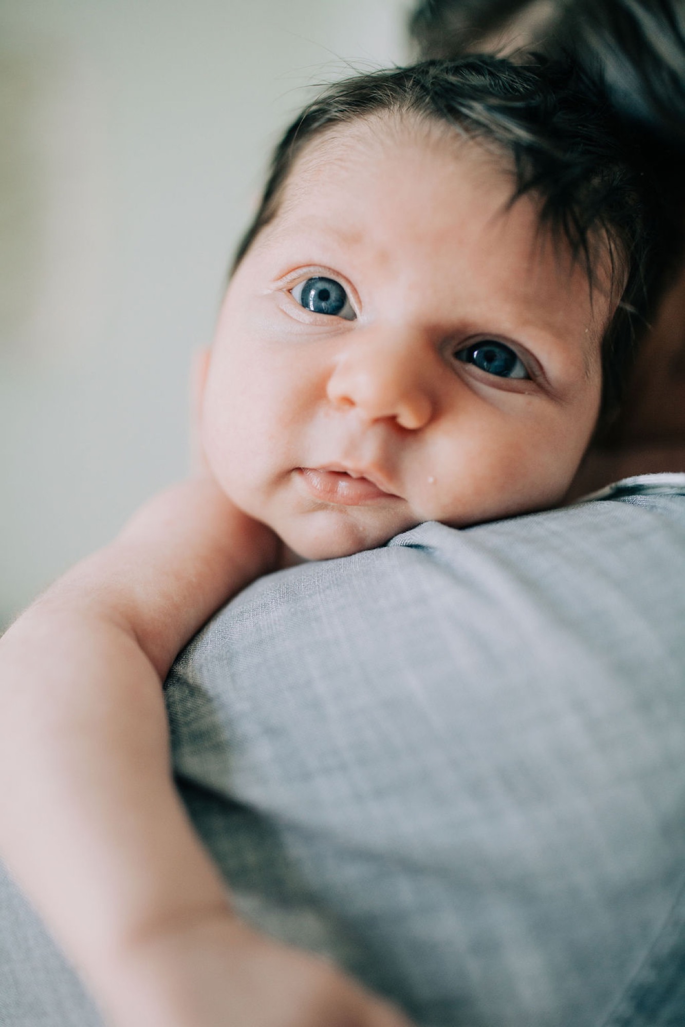 Newborn with striking blue eyes gazes directly at camera while cradled against parent's gray shoulder in soft natural light