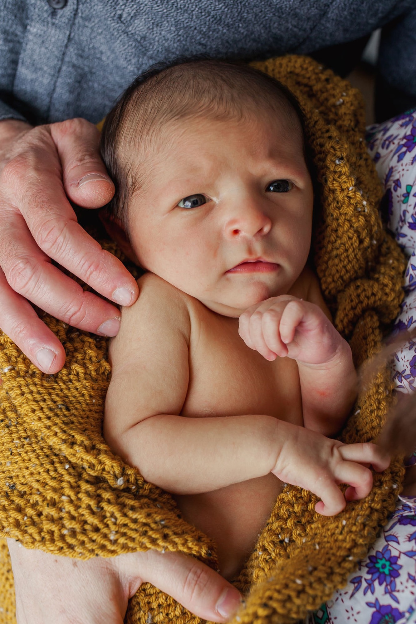 Newborn swaddled in mustard knit wrap gazes thoughtfully upward while parent's hands gently frame the baby's shoulders