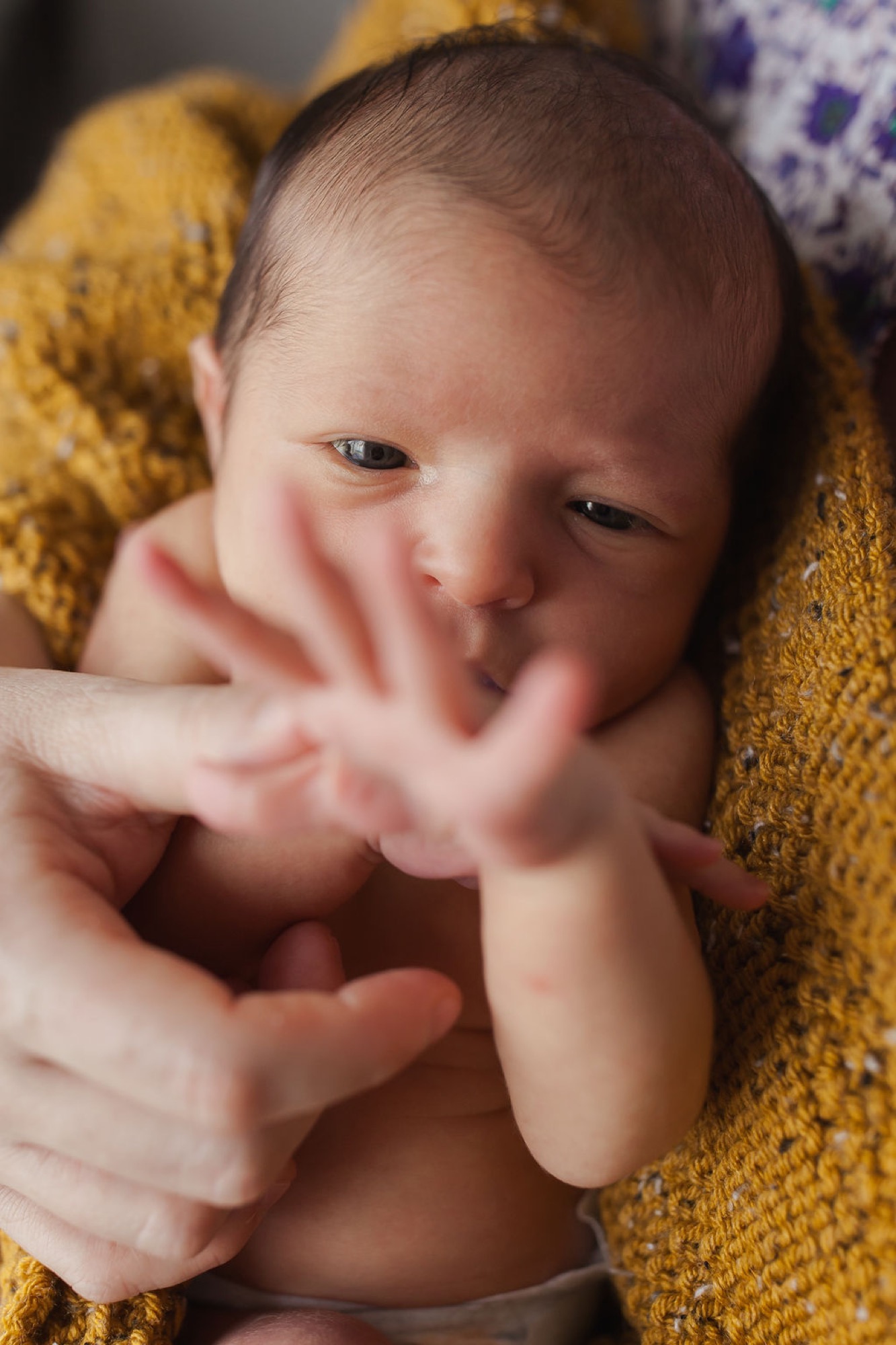 Newborn's delicate hands rest on an adult's fingers against a golden-yellow knit blanket, capturing tender skin texture and gentle touch