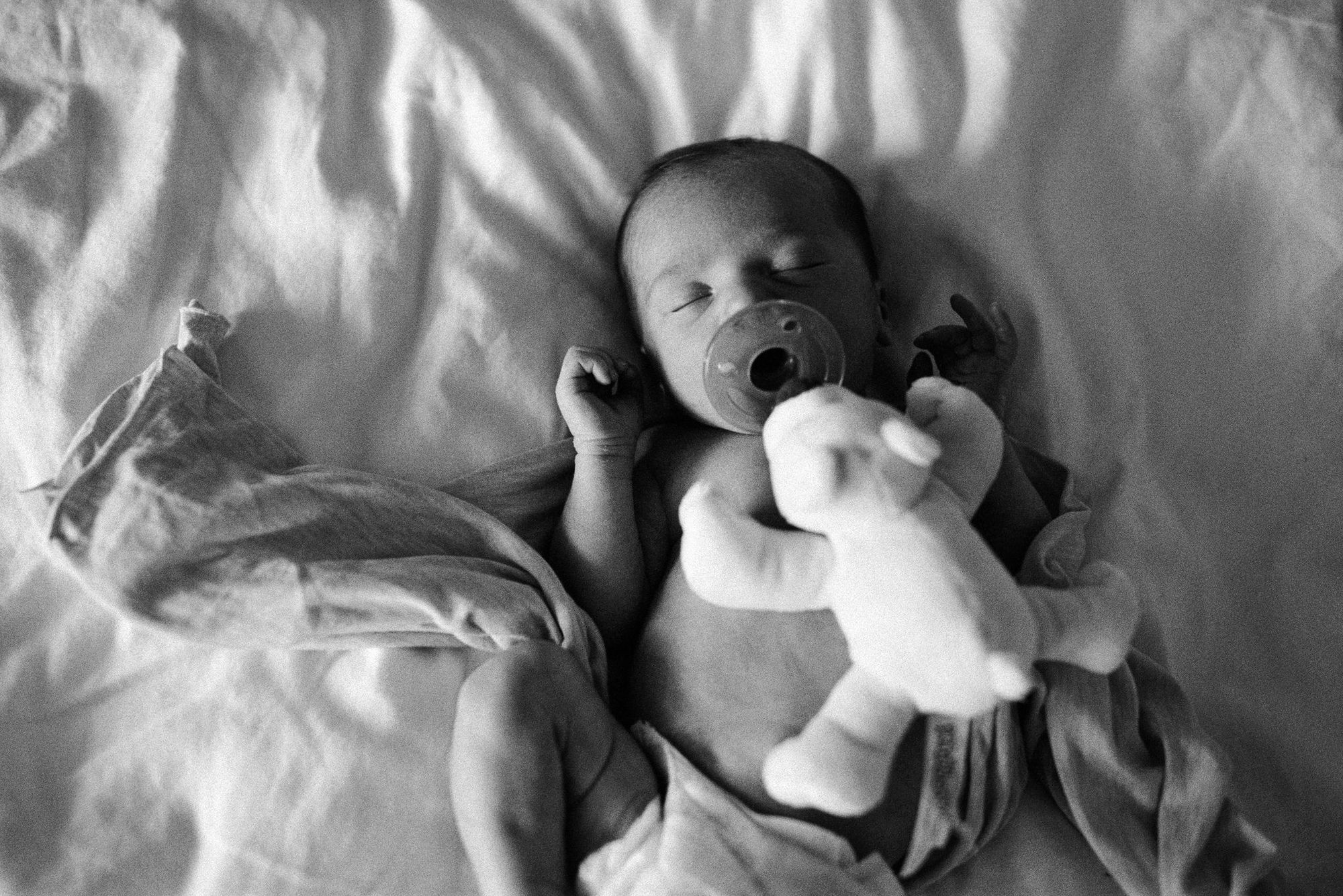 Newborn lies on the bed with a pacifier and a small stuffed bunny, dappled shadows from window blinds falling across the sheets