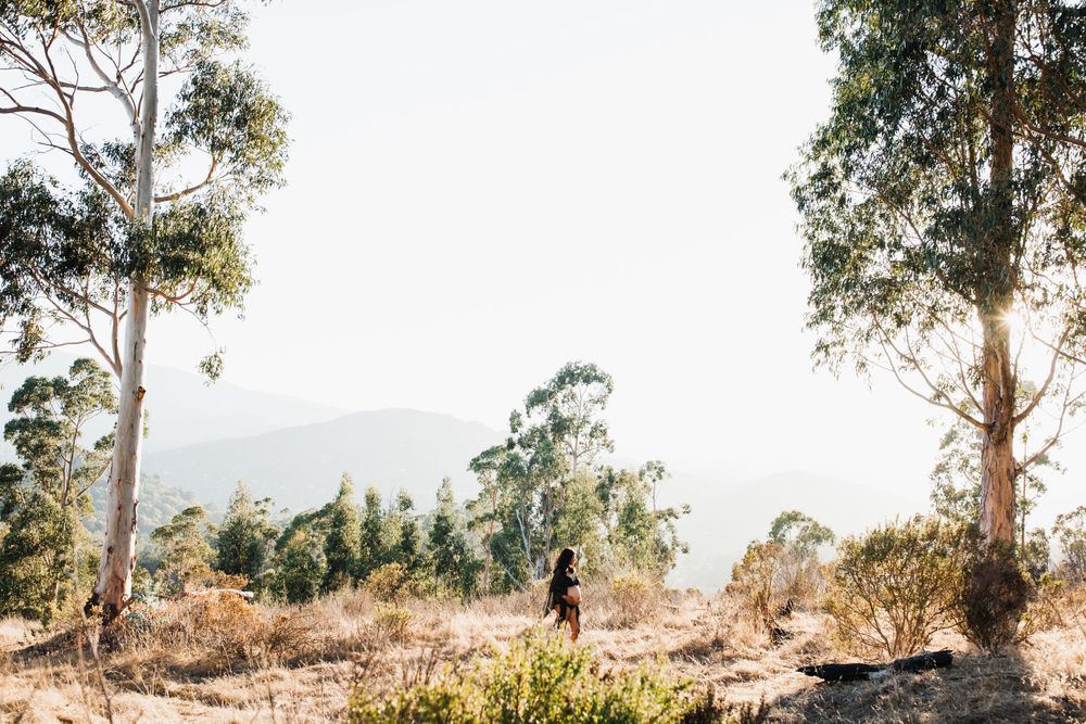 Tree-lined path at San Rafael Open Space, family photography location in Marin County