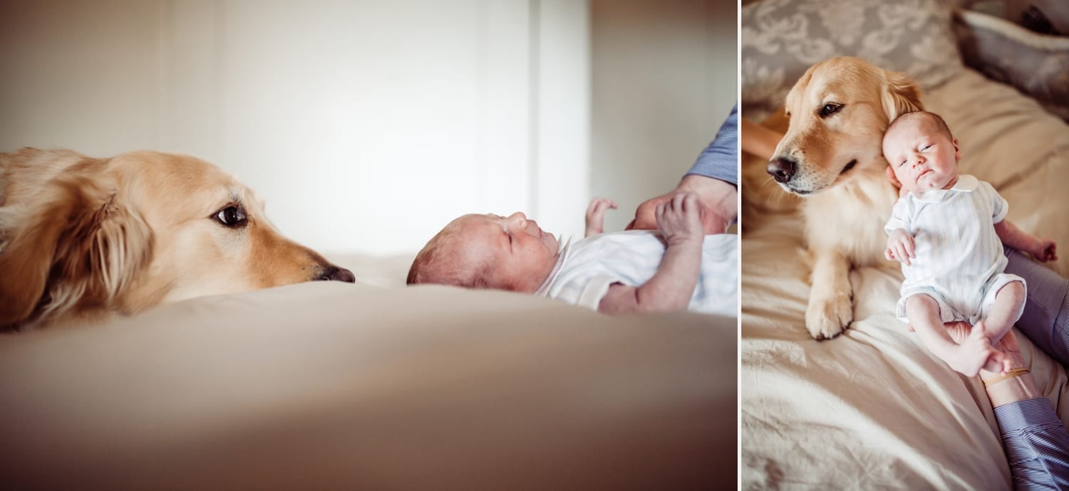 Mom kisses her golden retriever while cradling the newborn beside them in bed