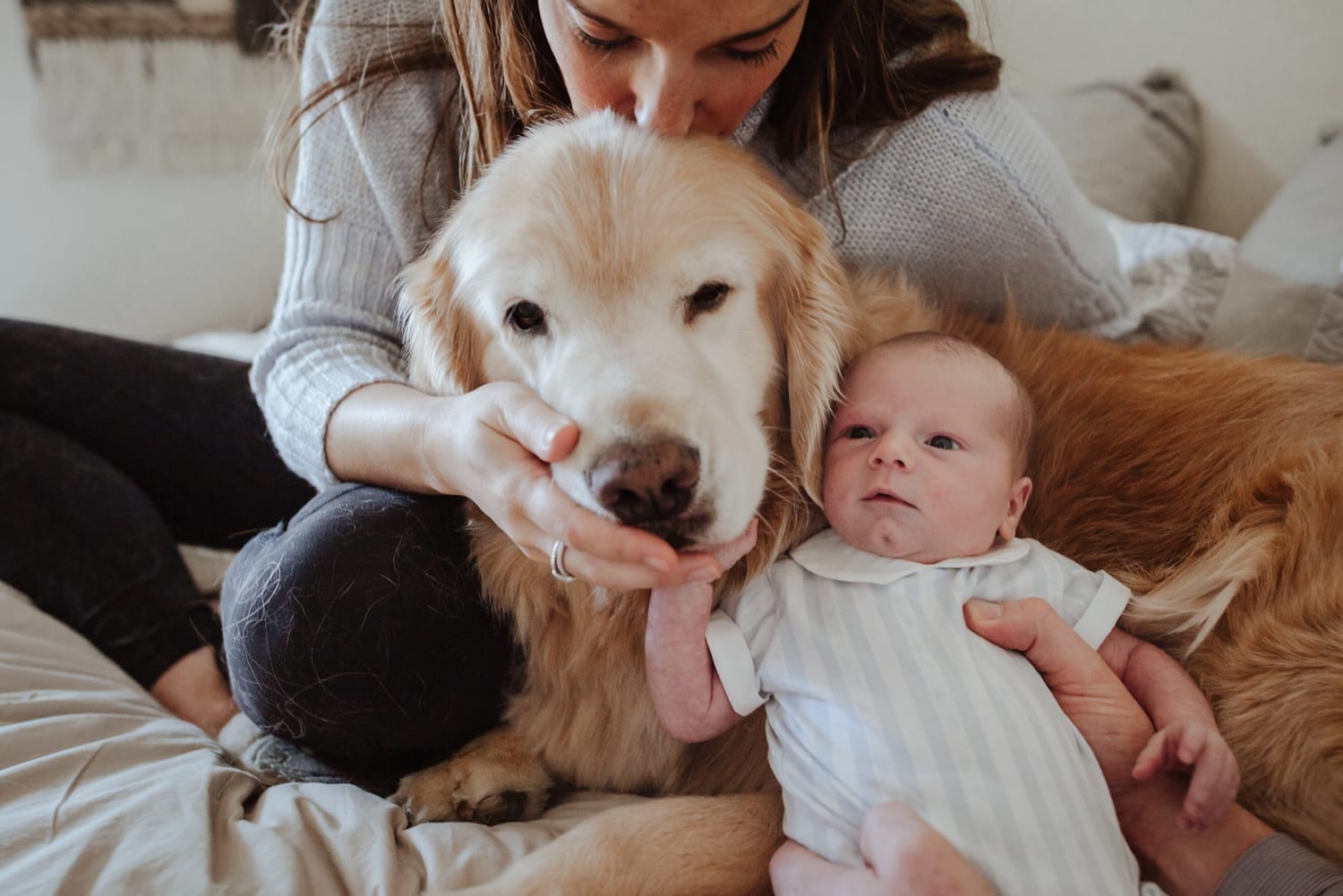 Dad holds sleeping newborn outdoors while the family golden retriever sniffs his hand