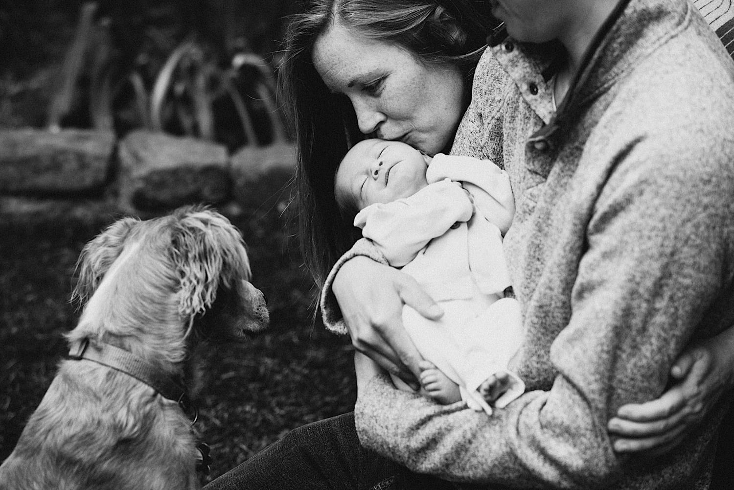 Black and white image of mom kissing newborn outdoors while their dog watches