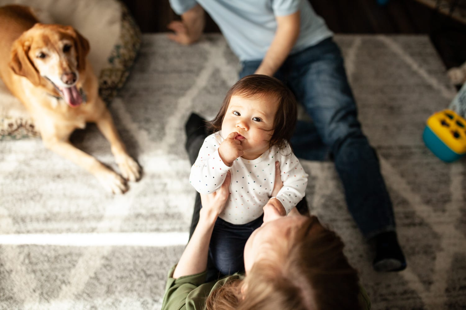 Mom lifts baby up on the living room rug while their dog relaxes nearby