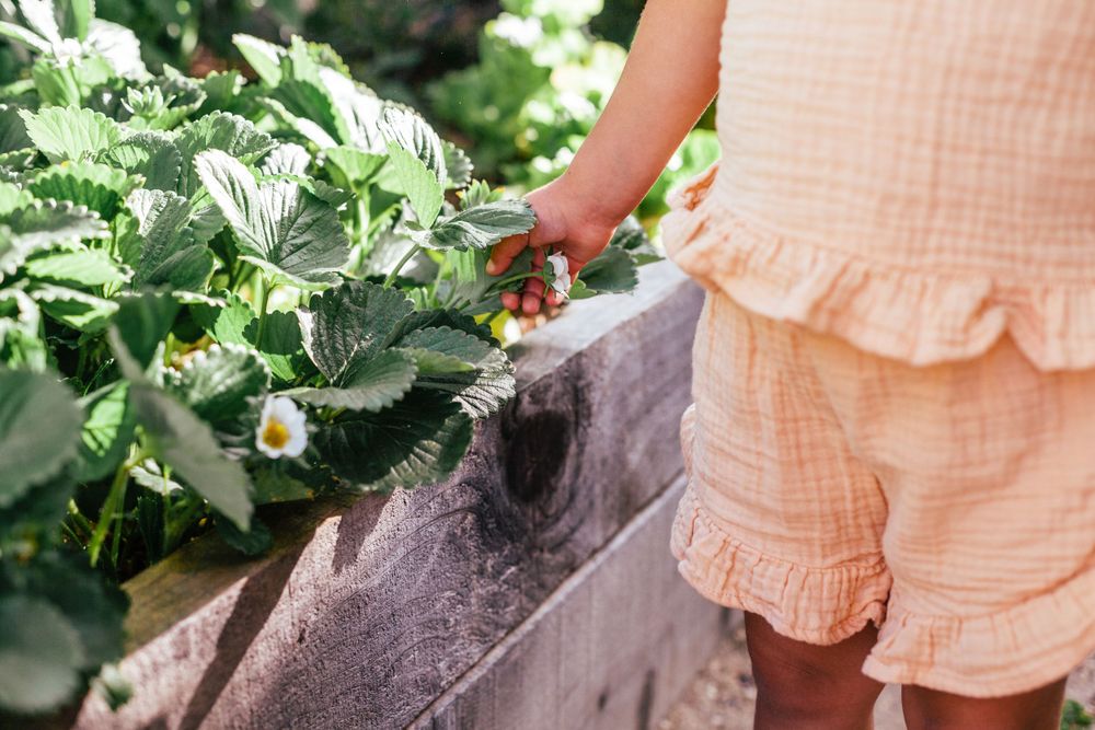 STORIES FROM HOME // Family Edition // San Rafael Marin County