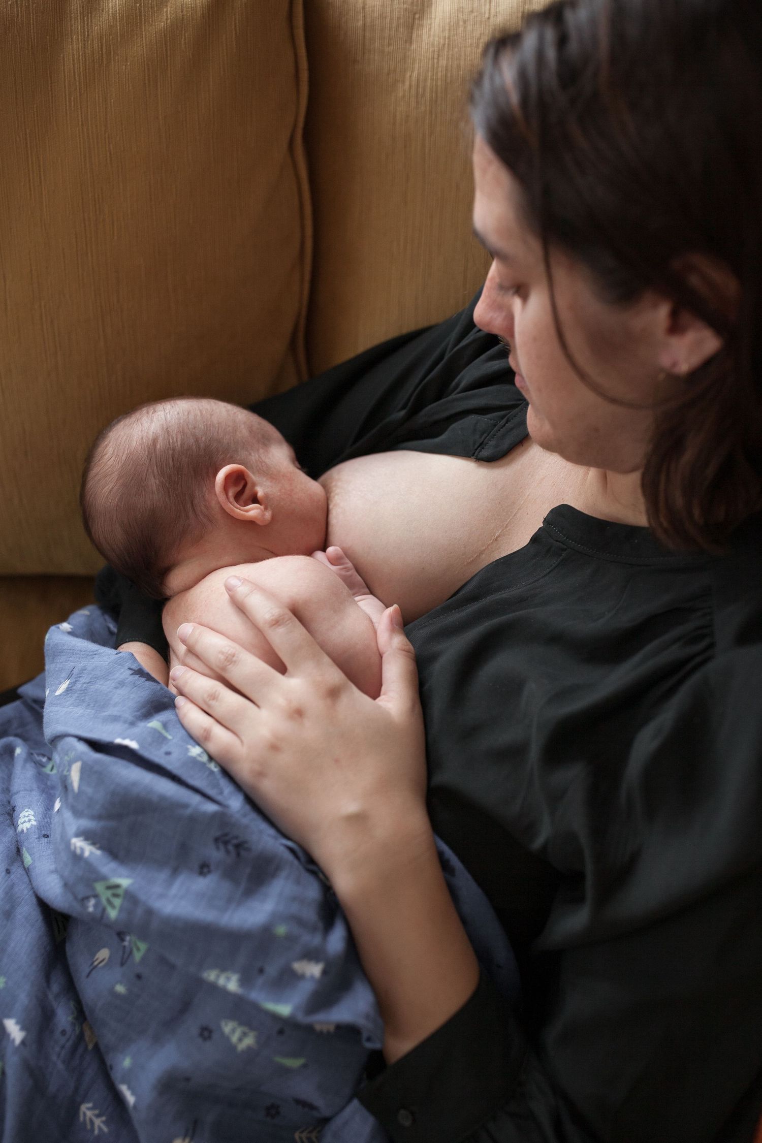 Photo from Stories From Home Newborn Edition Oakland California