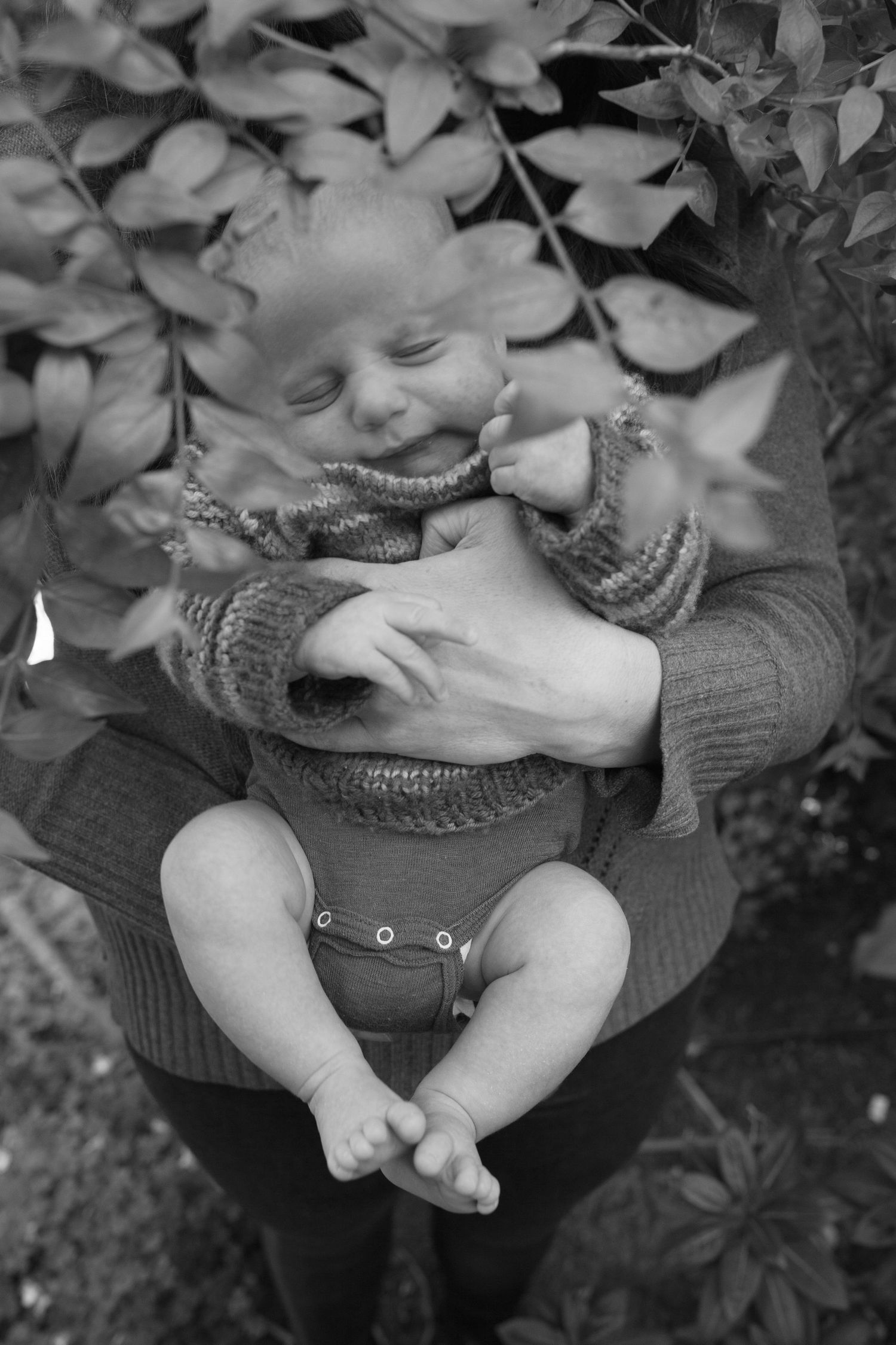In-home newborn session, Corte Madera