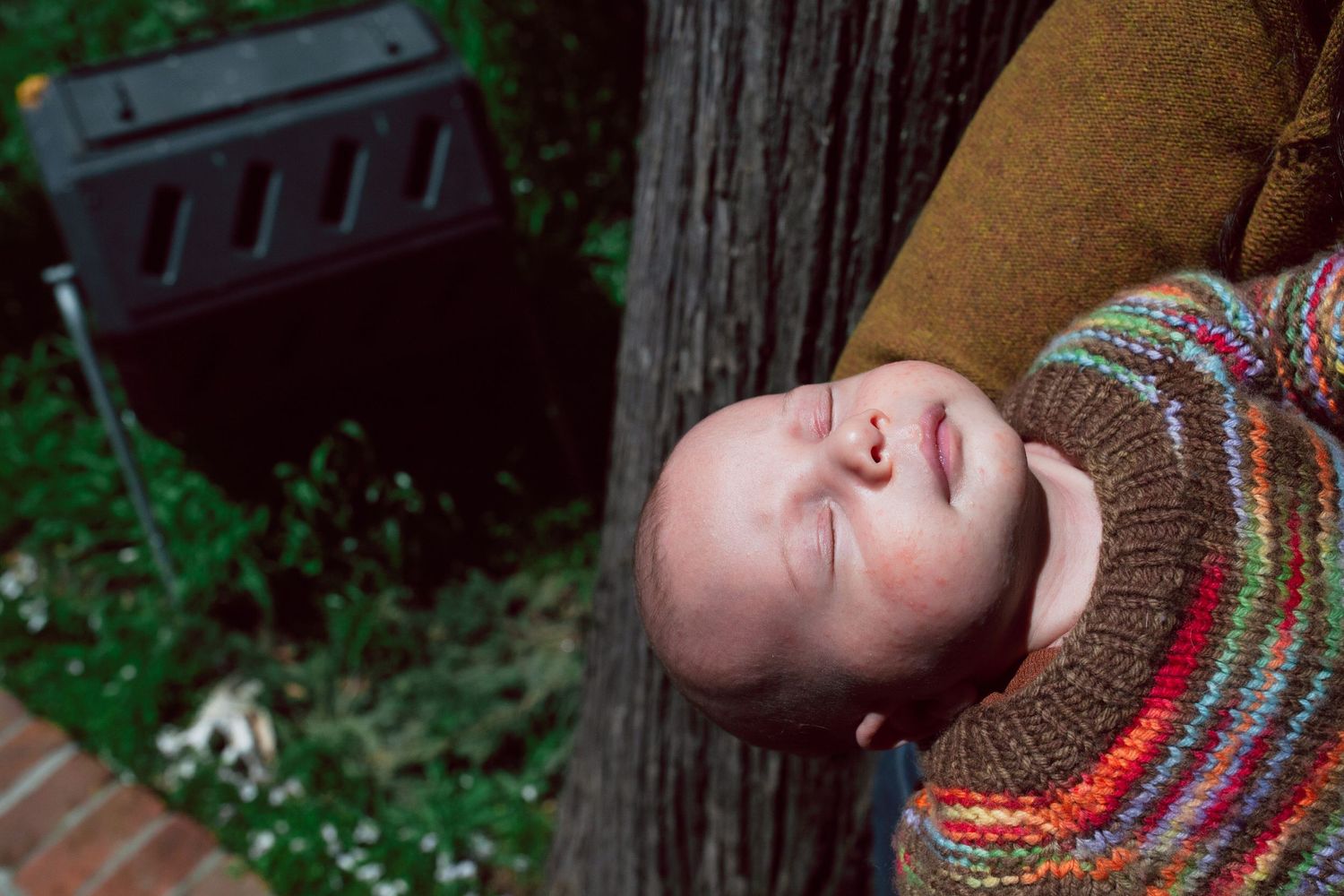 In-home newborn session, Corte Madera