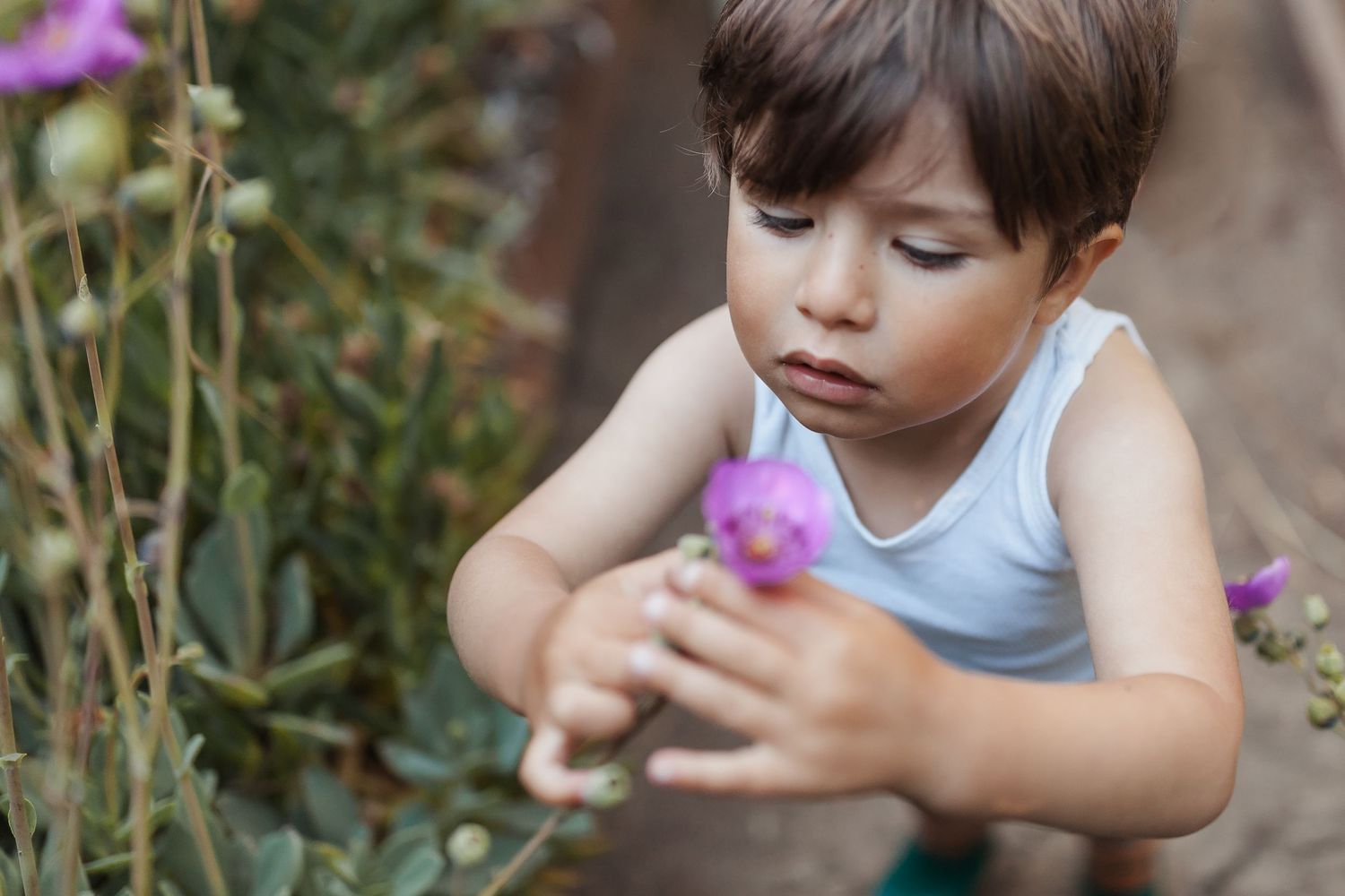 Photo from A playful, theatrical, flower-filled morning at the enchanted-garden home in Oakland, CA