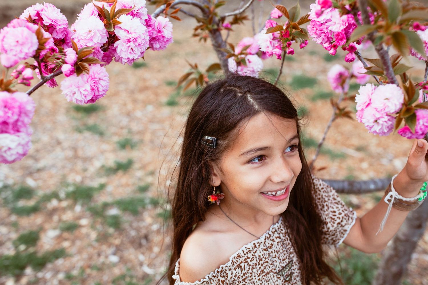 Photo from STORIES FROM HOME