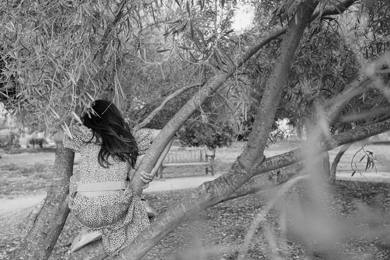 Photo from STORIES FROM HOME